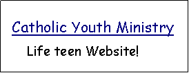 Text Box:   Catholic Youth Ministry       Life teen Website!